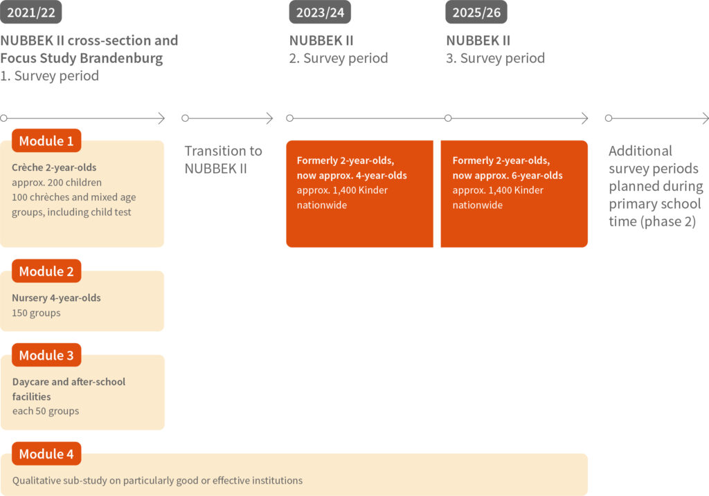 Chart timeline NUBBEK II – Fokus Study Brandenburg